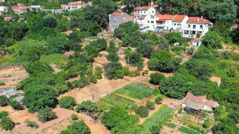Moradia T3 para Venda em Monchique