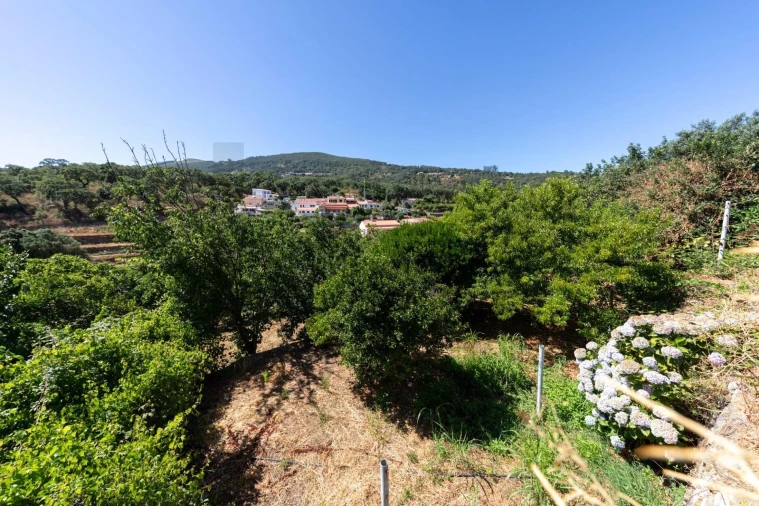 Moradia T3 para Venda em Monchique Foto 8