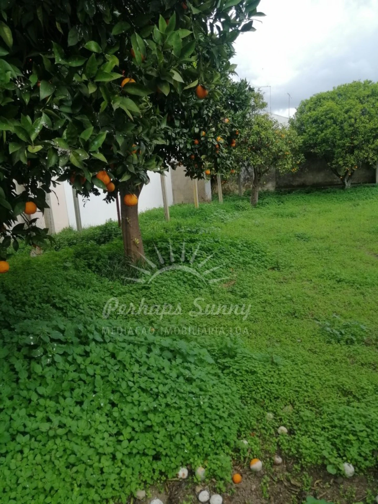 Quinta T8 para Venda em Grândola e Santa Margarida da Serra Foto 55