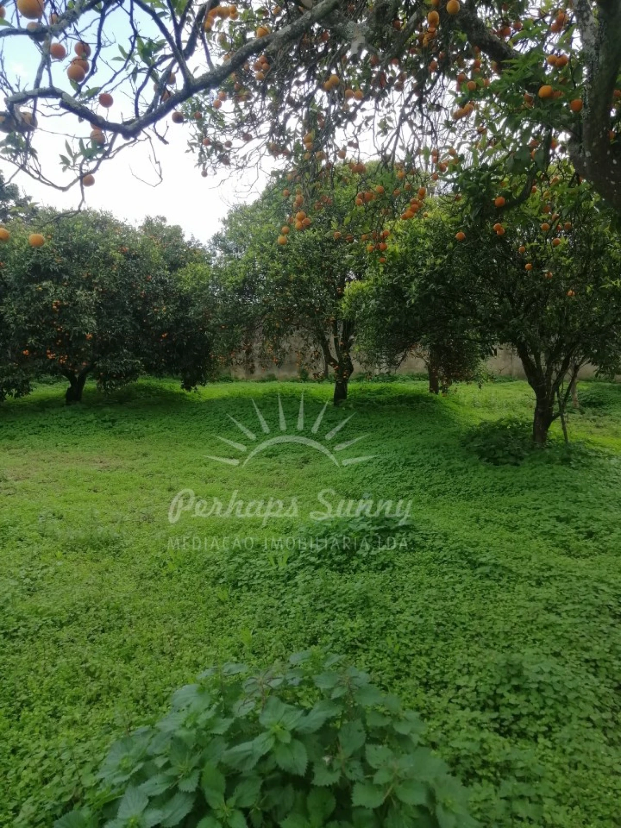 Quinta T8 para Venda em Grândola e Santa Margarida da Serra Foto 56