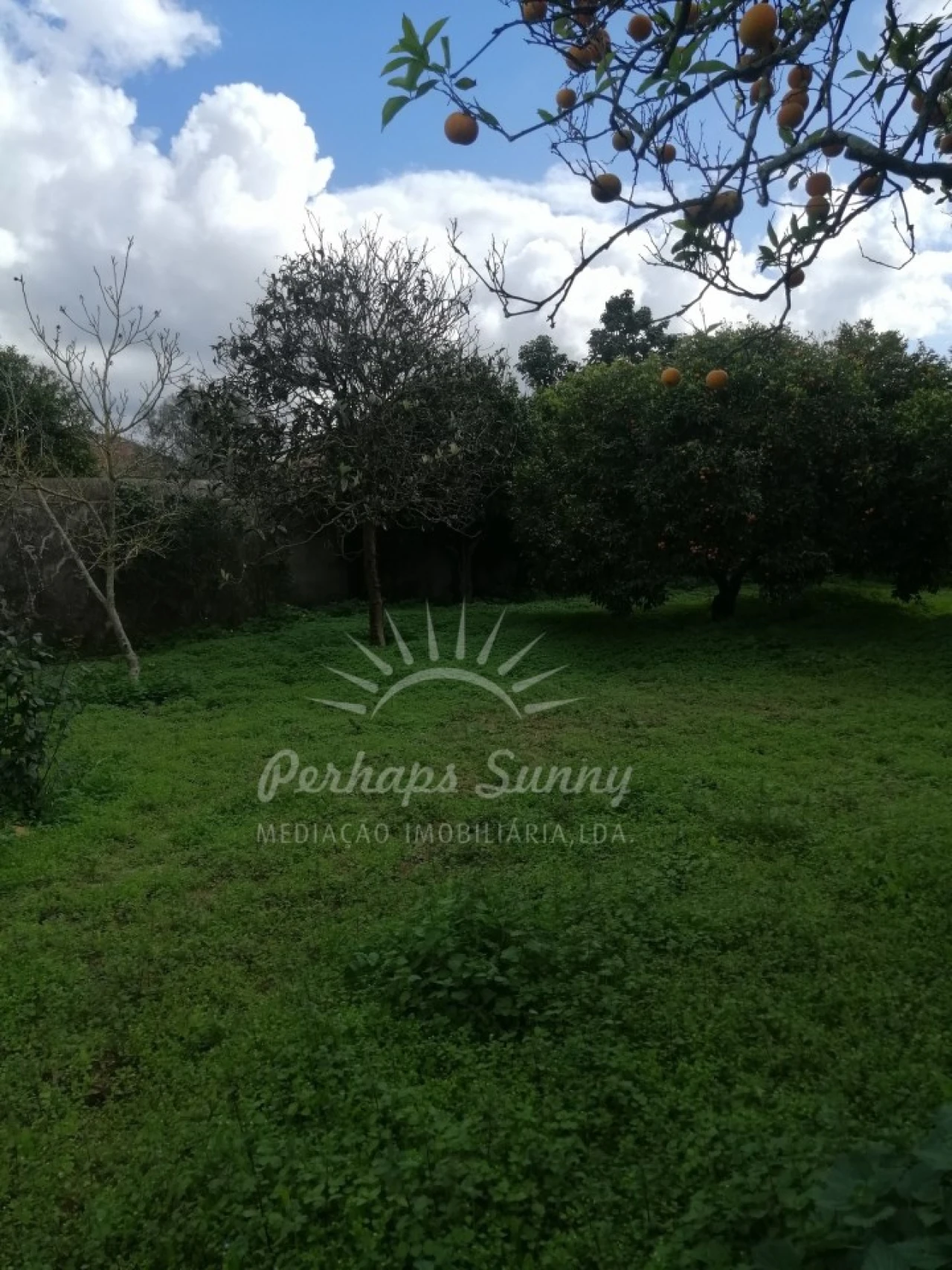 Quinta T8 para Venda em Grândola e Santa Margarida da Serra Foto 57