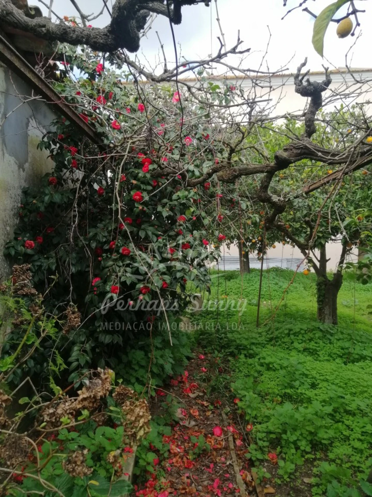 Quinta T8 para Venda em Grândola e Santa Margarida da Serra Foto 60