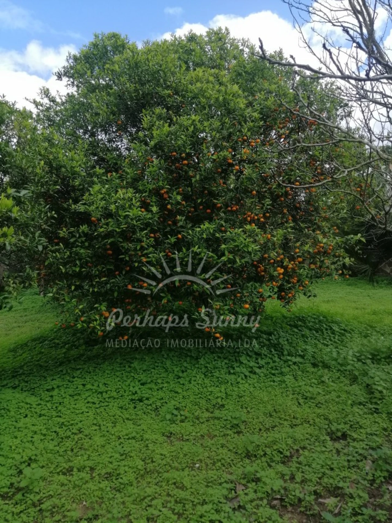 Quinta T8 para Venda em Grândola e Santa Margarida da Serra Foto 62
