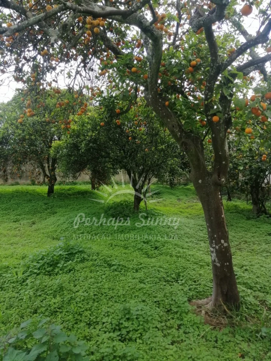 Quinta T8 para Venda em Grândola e Santa Margarida da Serra Foto 58