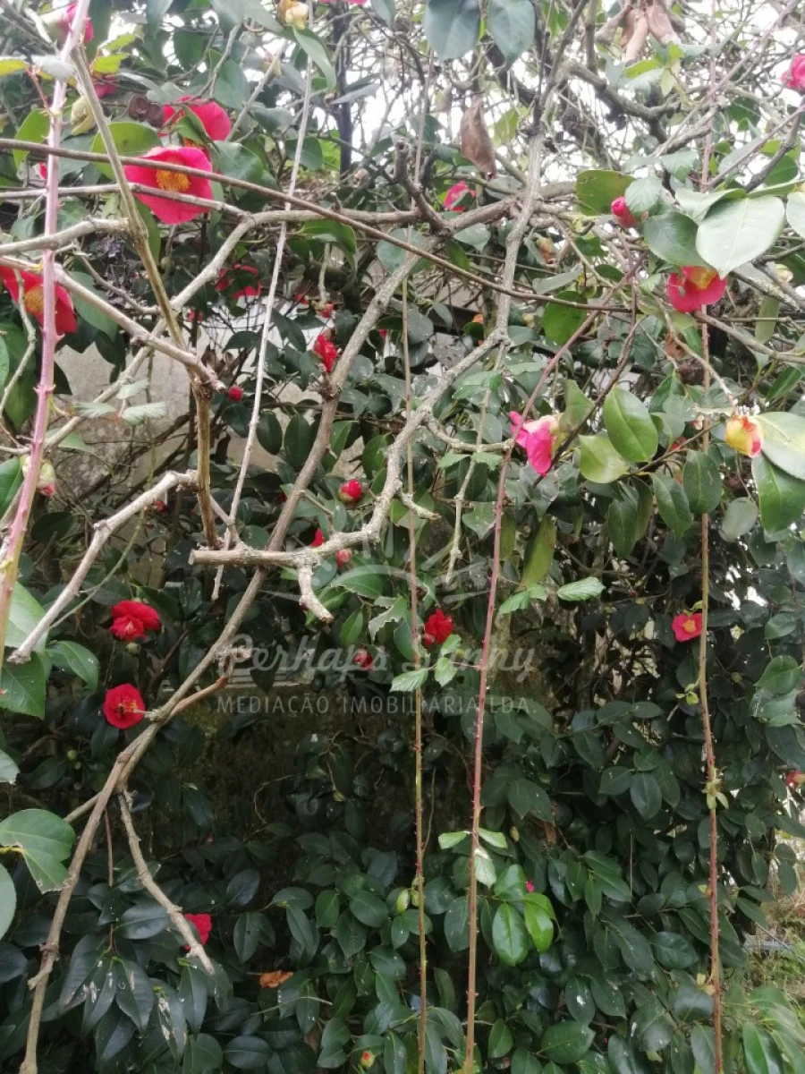 Quinta T8 para Venda em Grândola e Santa Margarida da Serra Foto 59