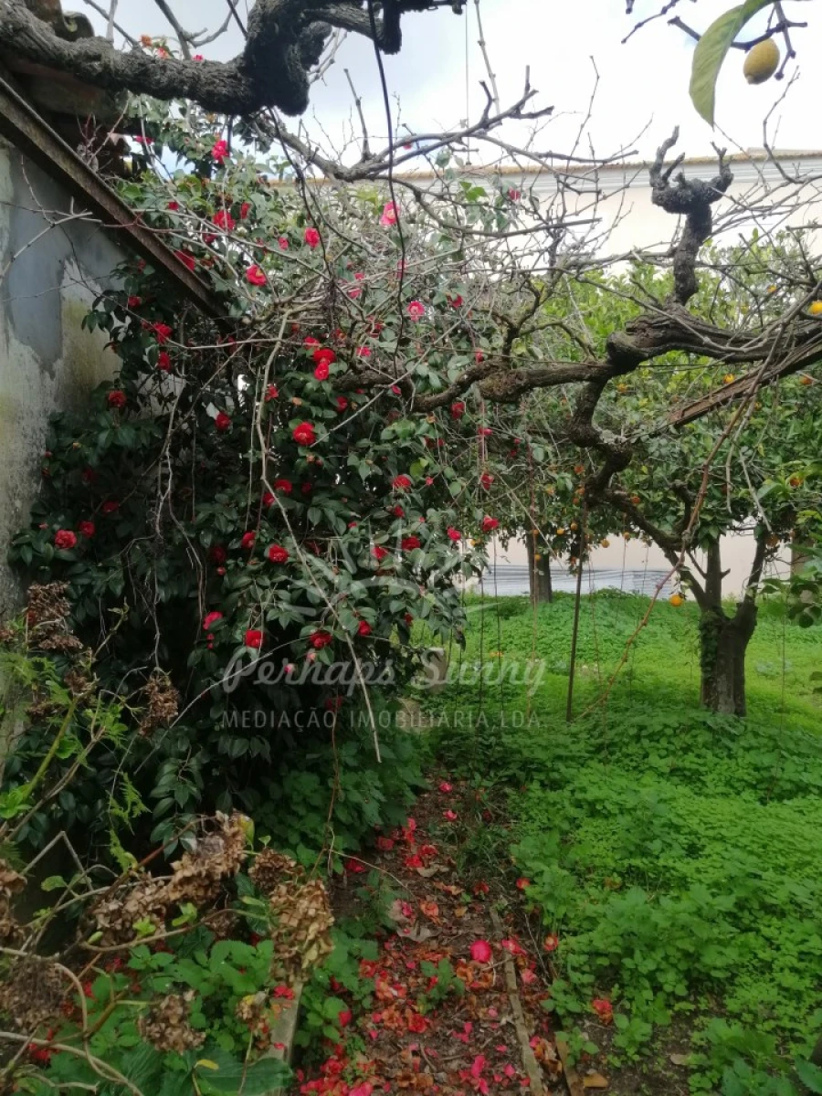 Quinta T8 para Venda em Grândola e Santa Margarida da Serra Foto 60