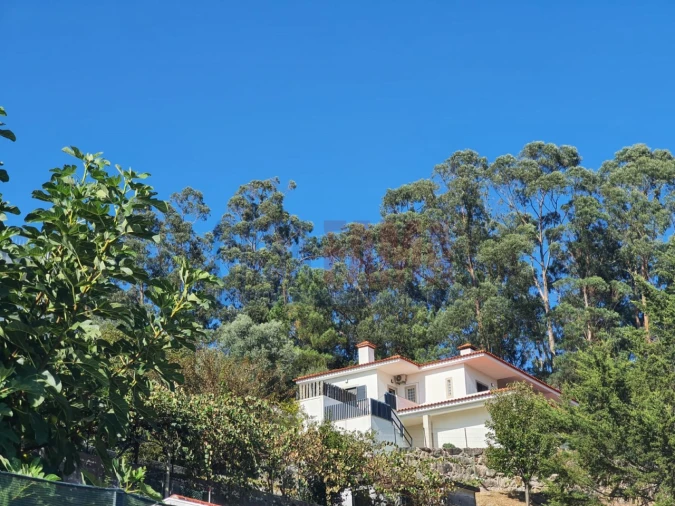 Moradia T3 para Venda em Gavião Foto 7