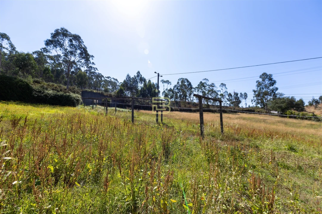 Quinta T5 para Venda em Alfena Foto 49