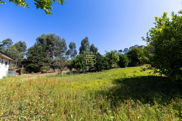 Quinta T5 para Venda em Alfena Foto 52