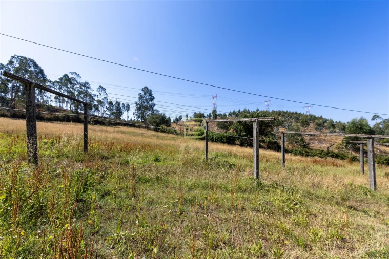 Quinta T5 para Venda em Alfena Foto 50