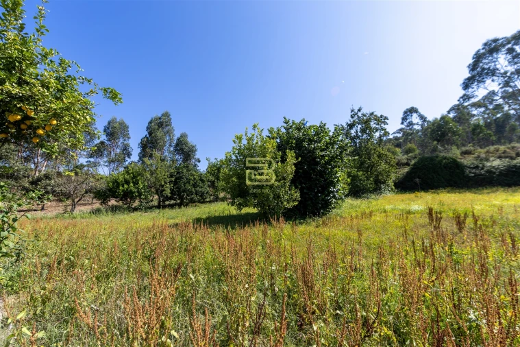 Quinta T5 para Venda em Alfena Foto 48