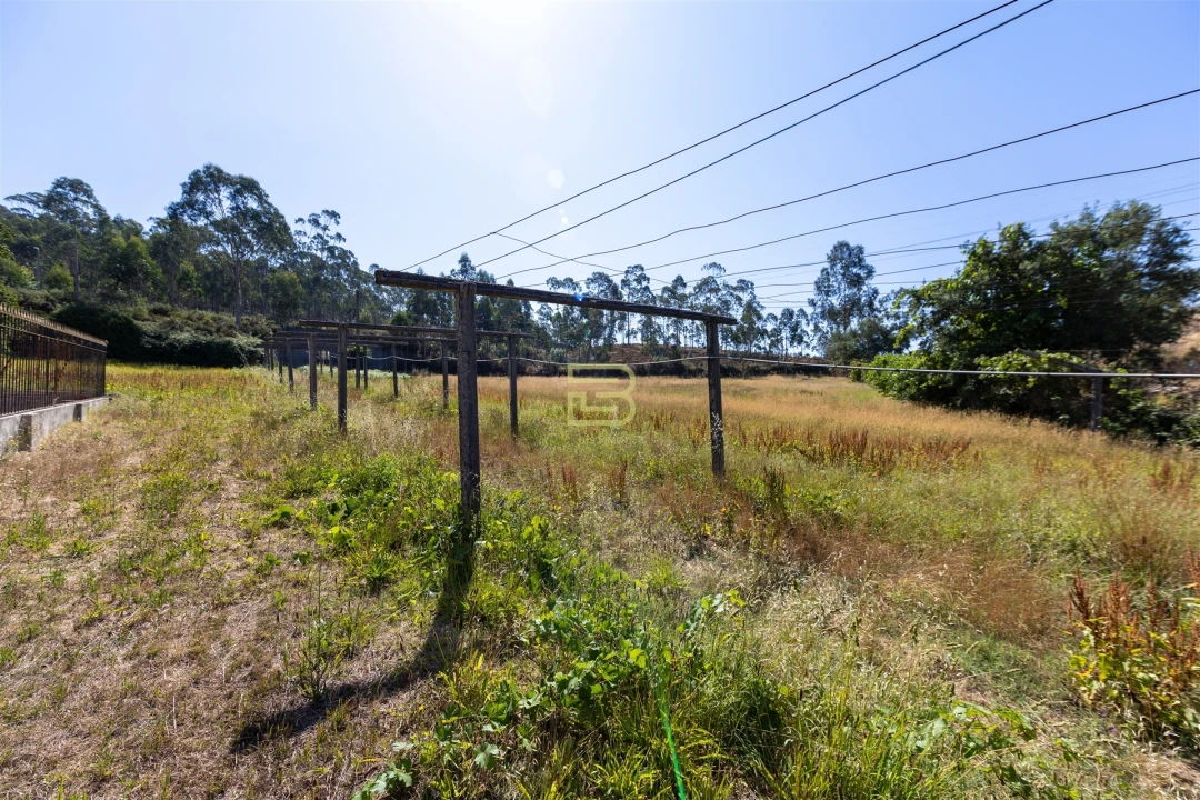 Quinta T5 para Venda em Alfena Foto 47
