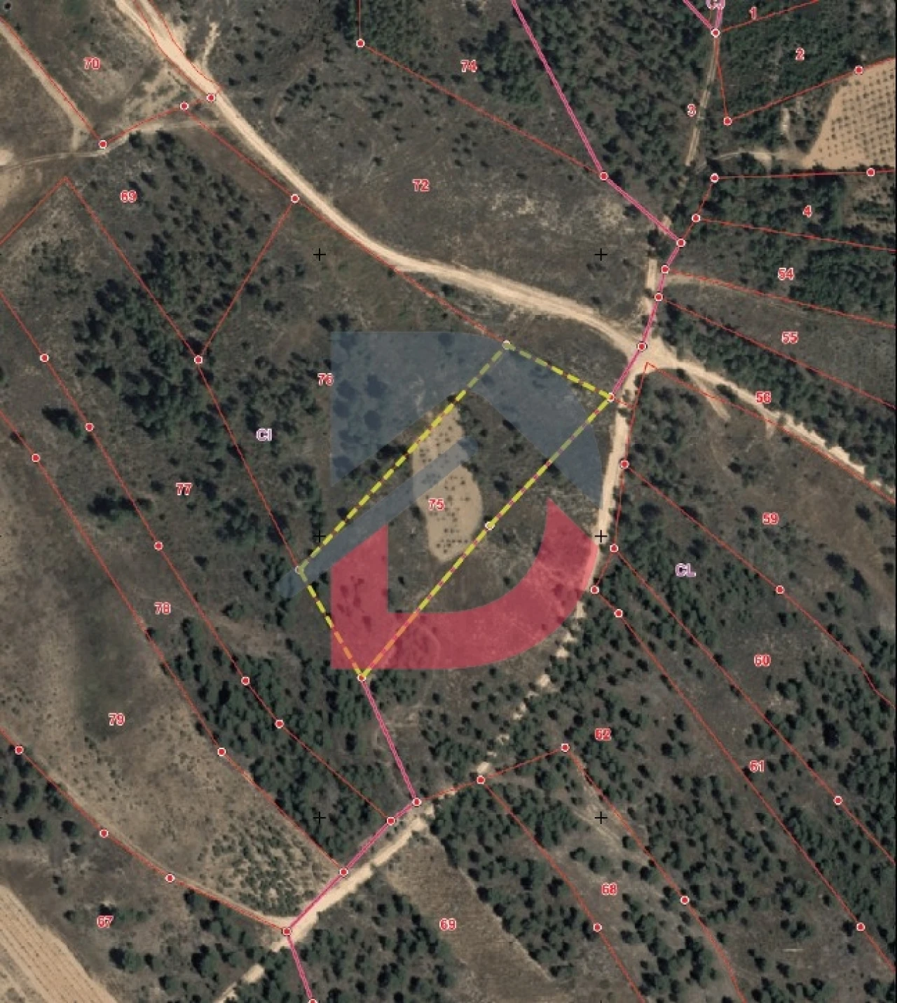 Terreno Agricola ou Rústico para Venda em Sarzedas Foto 15