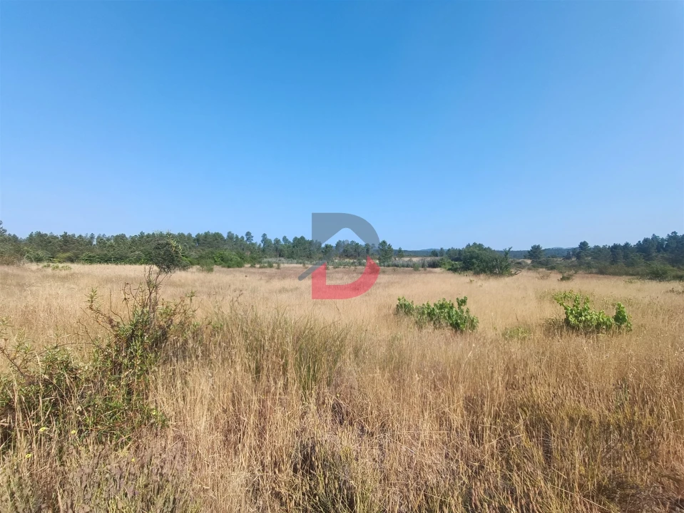 Terreno Agricola ou Rústico para Venda em Sarzedas Foto 1