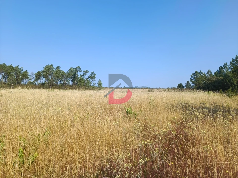 Terreno Agricola ou Rústico para Venda em Sarzedas Foto 10