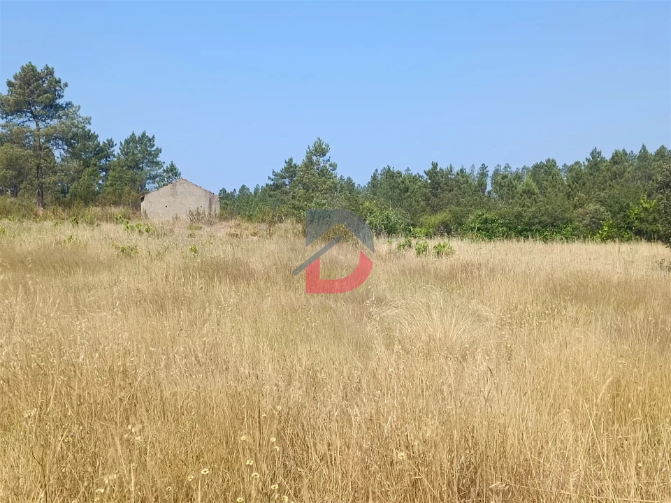 Terreno Agricola ou Rústico para Venda em Sarzedas Foto 8