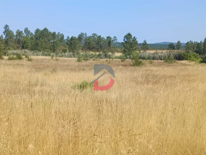 Terreno Agricola ou Rústico para Venda em Sarzedas Foto 6