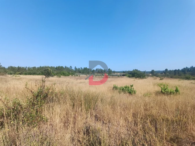 Terreno Agricola ou Rústico para Venda em Sarzedas Foto 1