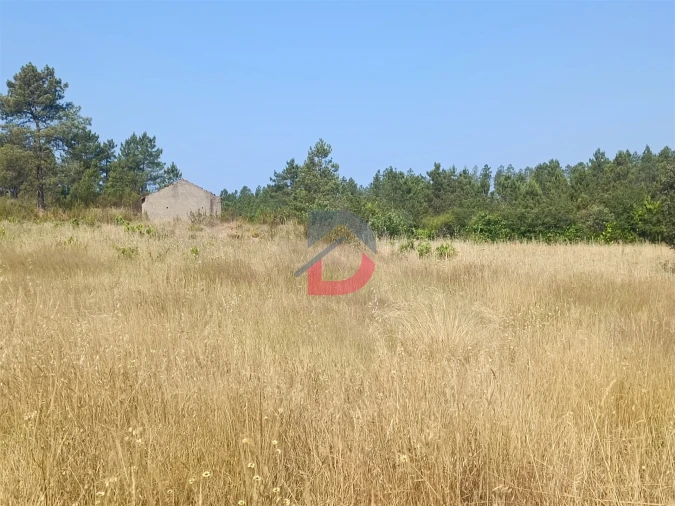 Terreno Agricola ou Rústico para Venda em Sarzedas Foto 8