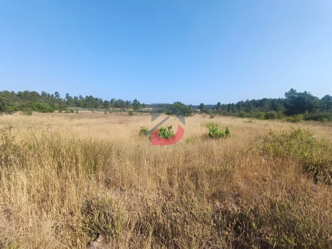 Terreno Agricola ou Rústico para Venda em Sarzedas Foto 4