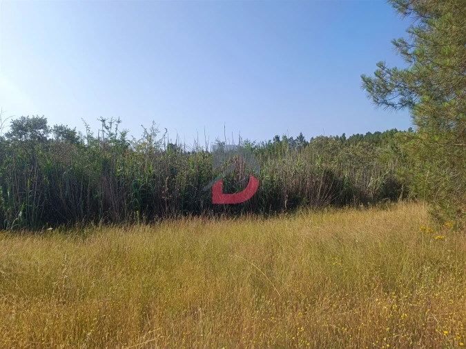 Terreno Agricola ou Rústico para Venda em Sarzedas Foto 14