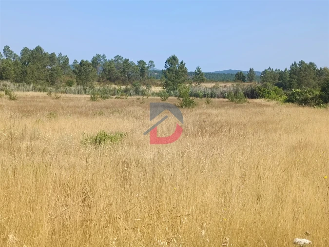 Terreno Agricola ou Rústico para Venda em Sarzedas Foto 5