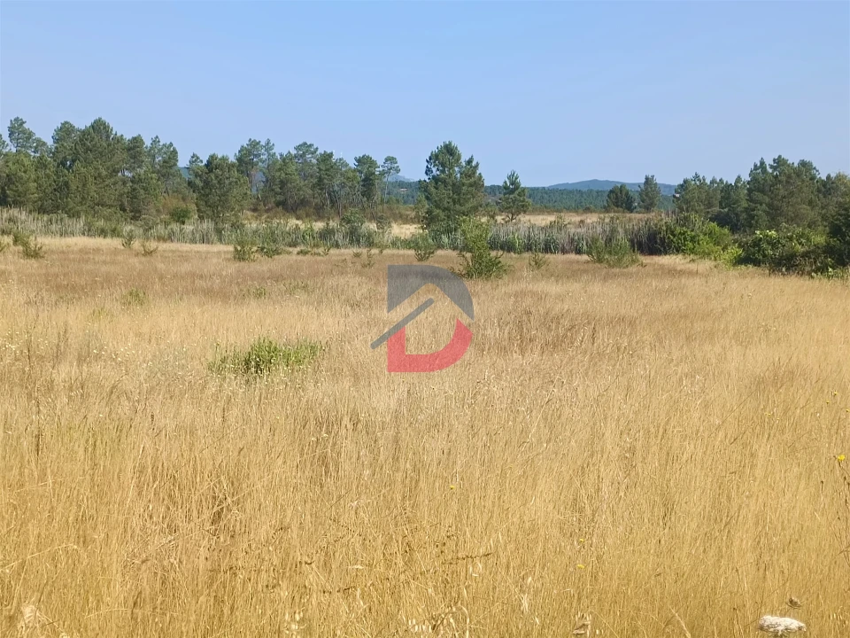 Terreno Agricola ou Rústico para Venda em Sarzedas Foto 5