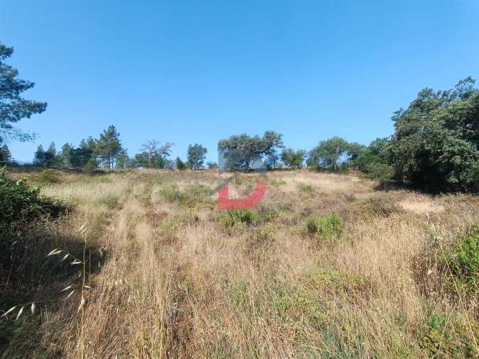 Terreno Agricola ou Rústico para Venda em Sarzedas Foto 10
