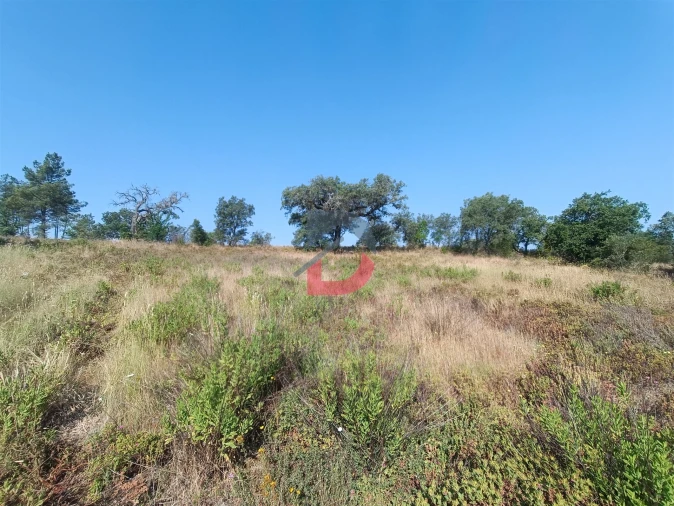 Terreno Agricola ou Rústico para Venda em Sarzedas Foto 8