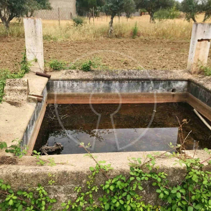 Terreno Agricola ou Rústico para Venda em Igrejinha Foto 6