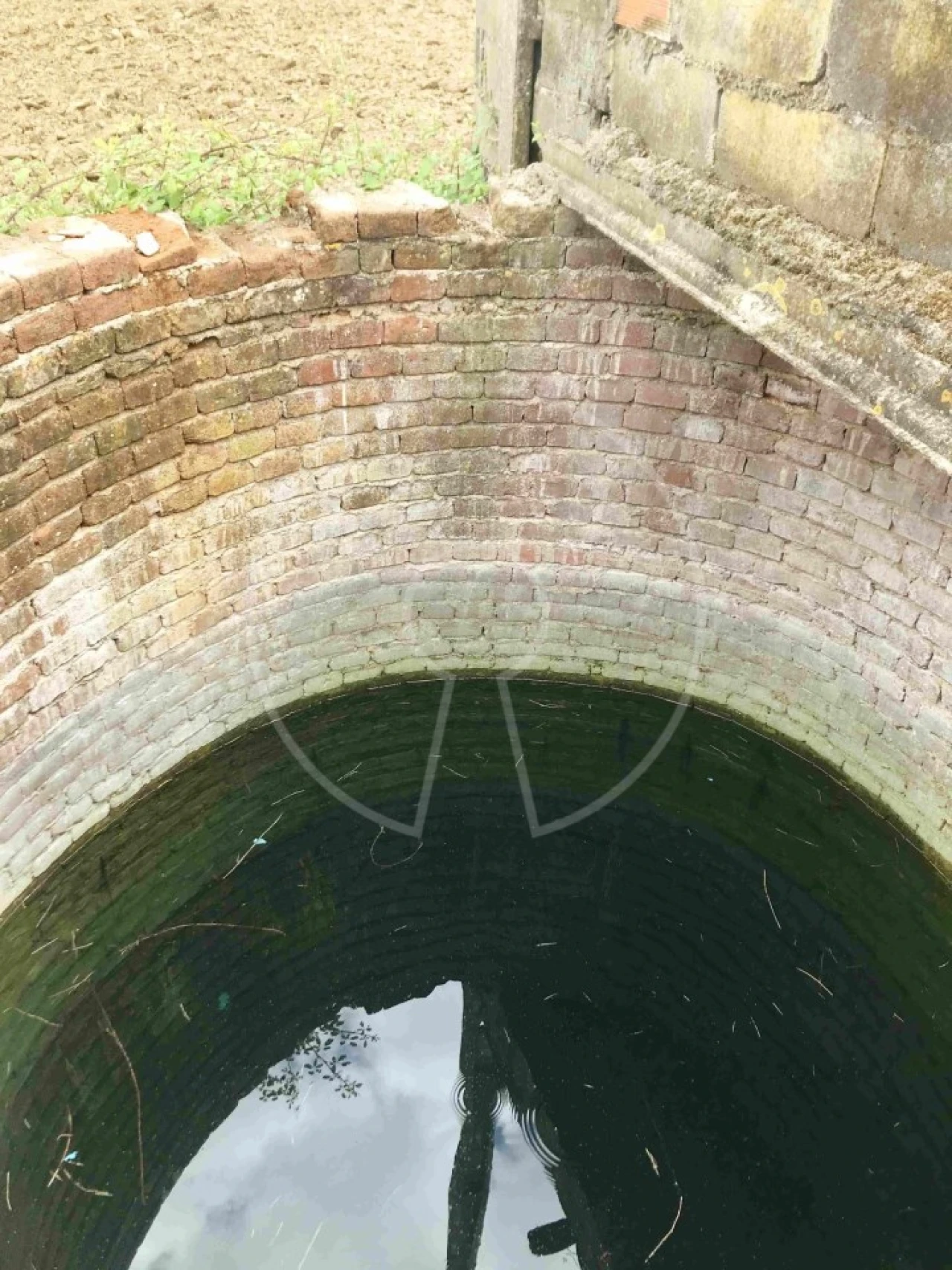 Terreno Agricola ou Rústico para Venda em Igrejinha Foto 13