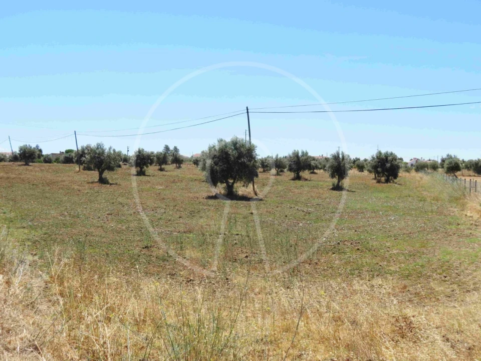 Terreno Agricola ou Rústico para Venda em Igrejinha Foto 23