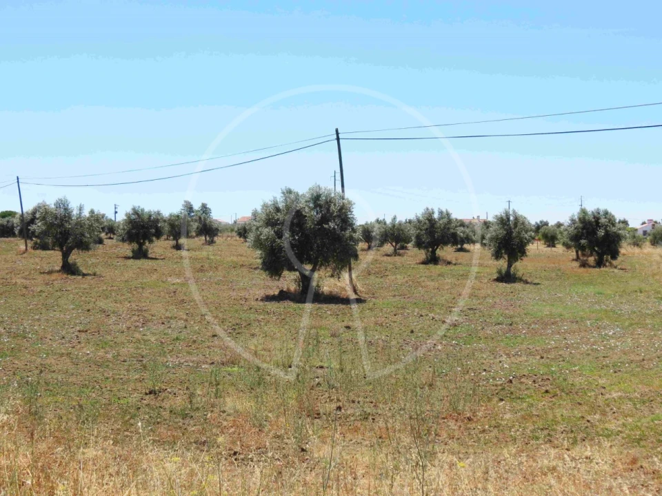 Terreno Agricola ou Rústico para Venda em Igrejinha Foto 24
