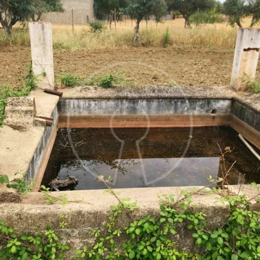 Terreno Agricola ou Rústico para Venda em Igrejinha Foto 6