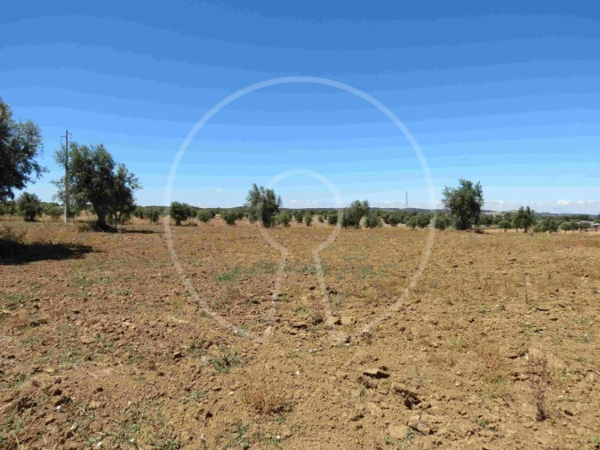 Terreno Agricola ou Rústico para Venda em Igrejinha Foto 7