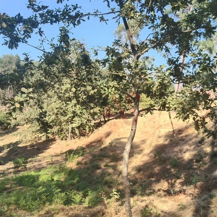 Moradia T1 para Venda em Constance Foto 9