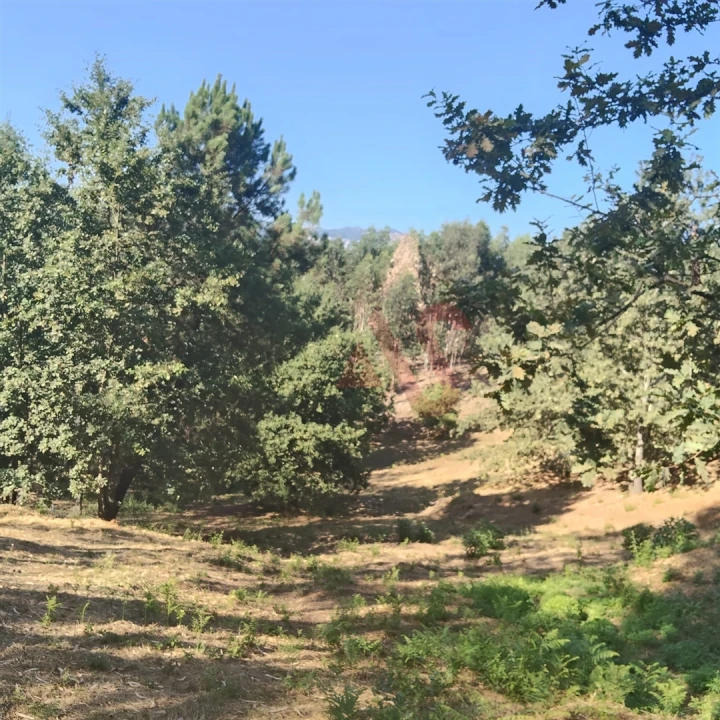 Moradia T1 para Venda em Constance Foto 11