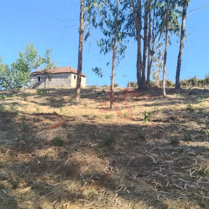 Moradia T1 para Venda em Constance Foto 5