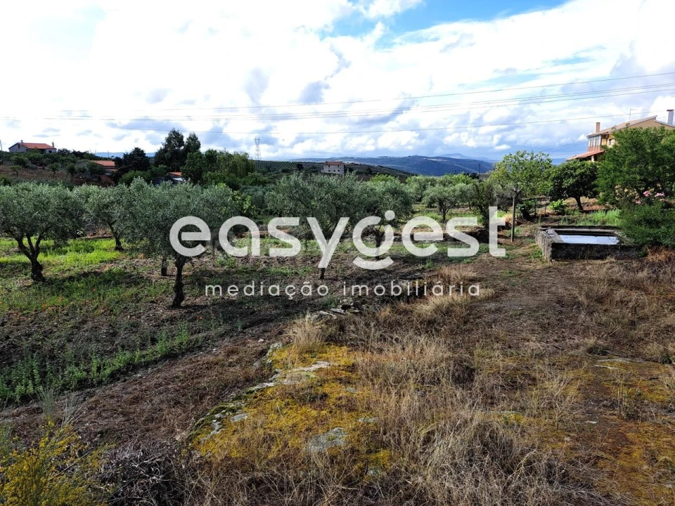 Terreno para Venda em Açoreira Foto 1