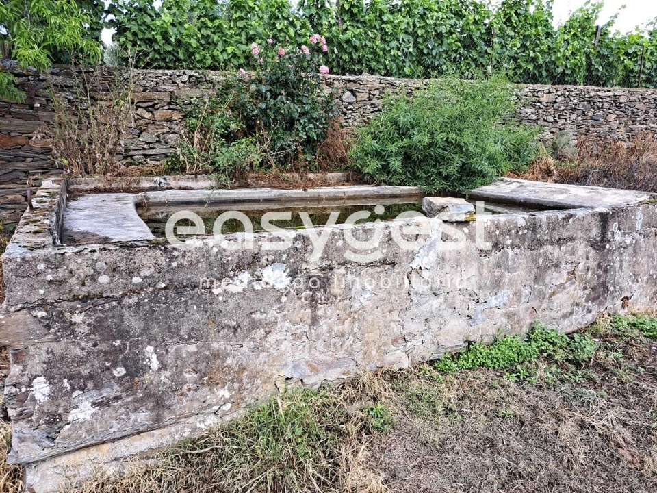 Terreno para Venda em Açoreira Foto 6