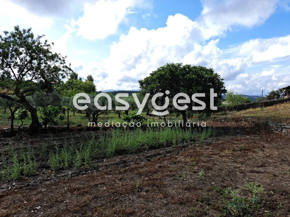 Terreno para Venda em Açoreira Foto 9