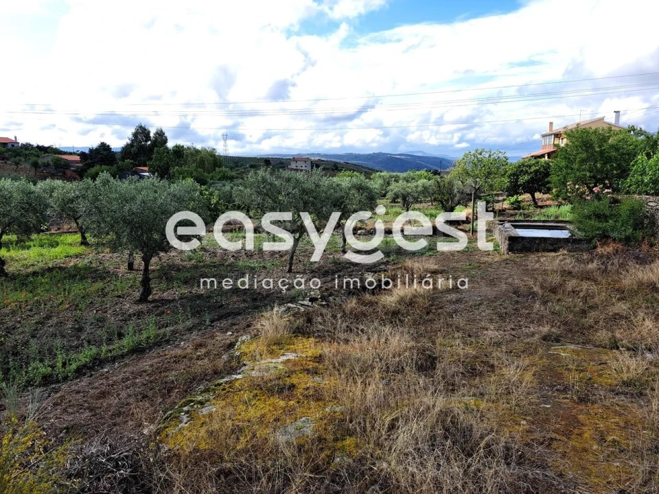 Terreno para Venda em Açoreira Foto 15