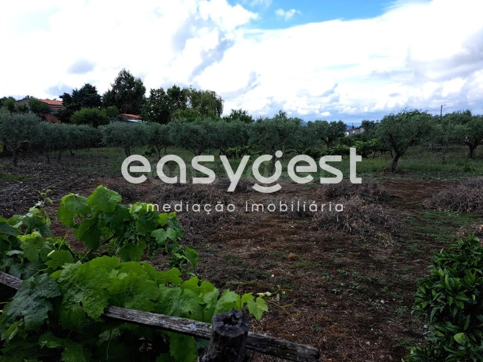 Terreno para Venda em Açoreira Foto 17