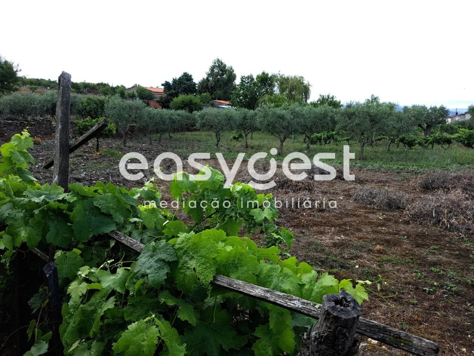 Terreno para Venda em Açoreira Foto 18