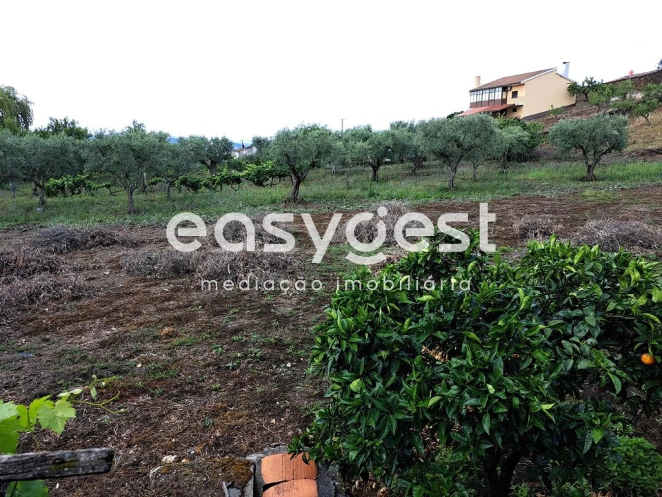 Terreno para Venda em Açoreira Foto 19