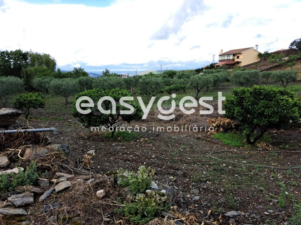 Terreno para Venda em Açoreira Foto 20