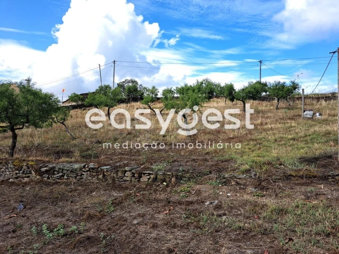 Terreno para Venda em Açoreira Foto 8