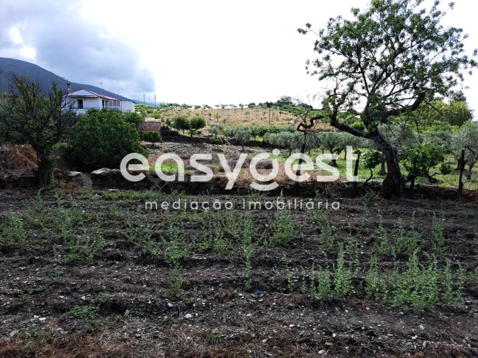 Terreno para Venda em Açoreira Foto 10