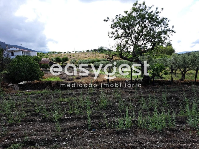 Terreno para Venda em Açoreira Foto 11