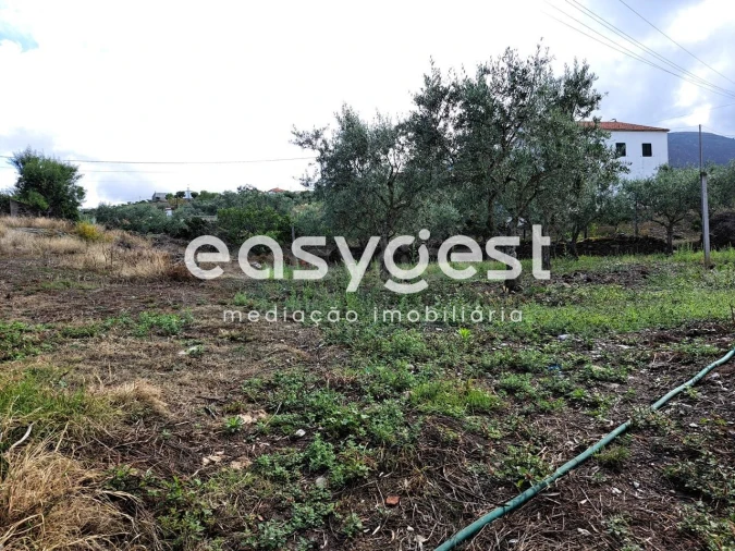 Terreno para Venda em Açoreira Foto 12